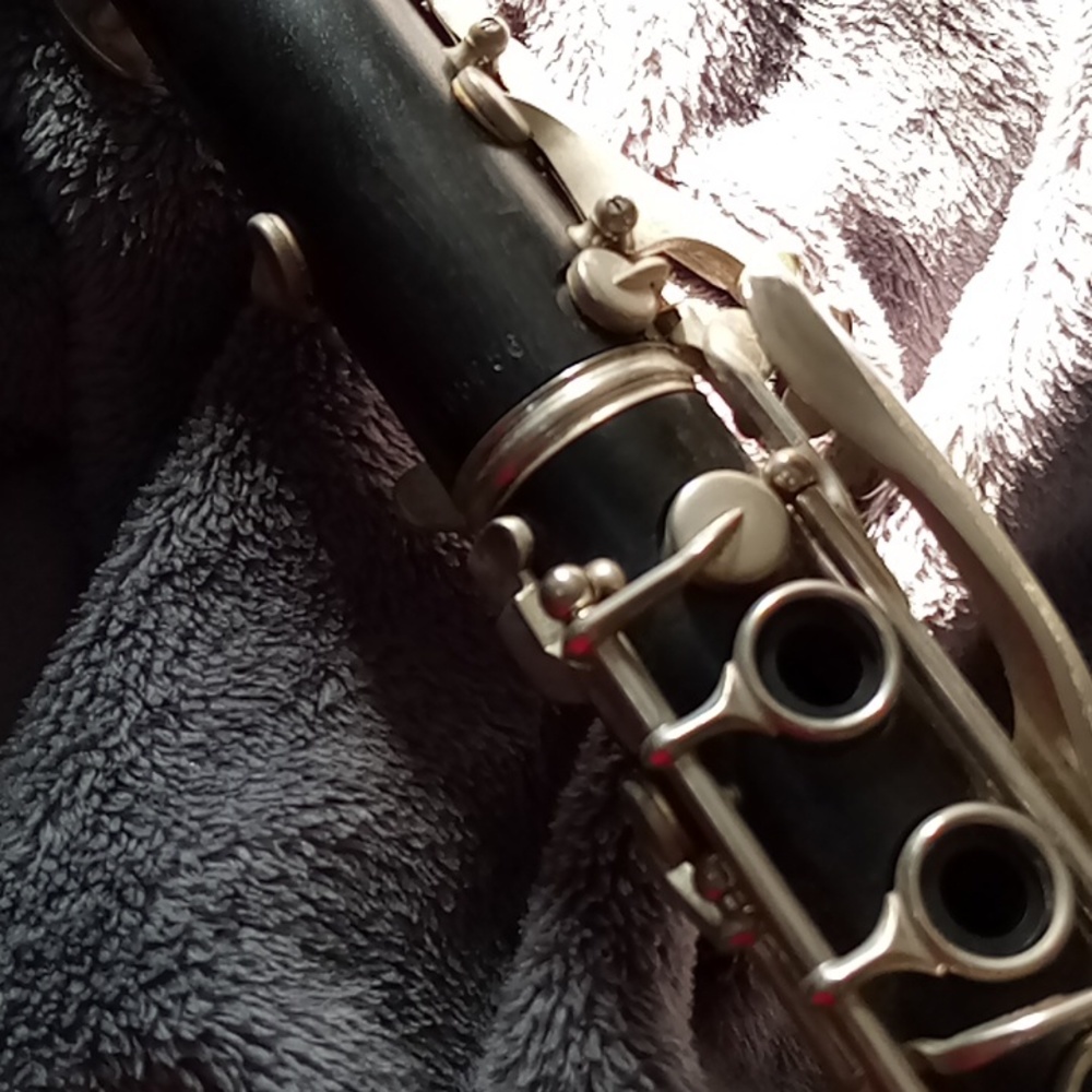 clarinet - Picture 5 of 7